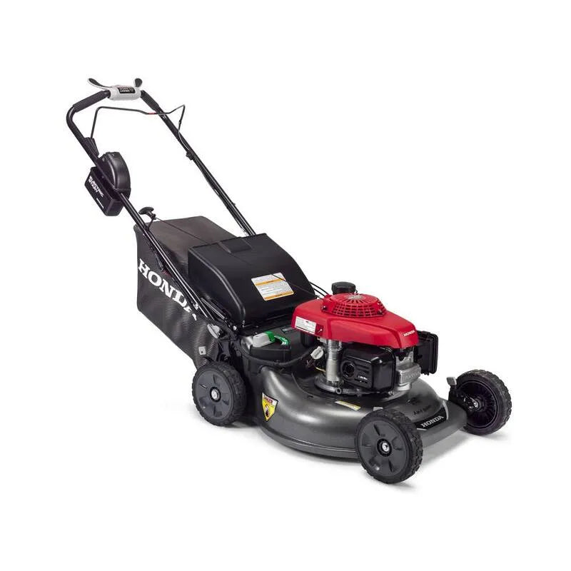 21 in., 21 in. Stahl Deck Electric Start Gas handgeführt Self Propelling Mäher mit Clip Director
