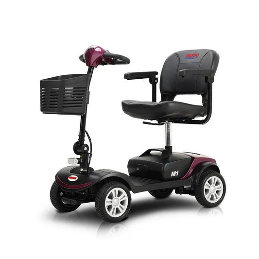 4-wheel 300, Garten, 4-Rad-Garten-Kompakt, Reise Elektroroller mit 300-Watt-Motor